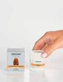 Pó Estanca Sangue/Hemostático 25g - Granado